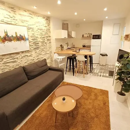 Appartement Douceurs Angevine Angers