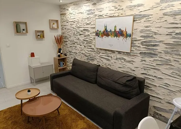 Douceurs Angevine Apartamento Angers